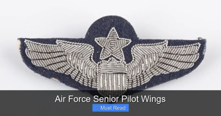 Air Force Senior Pilot Wings