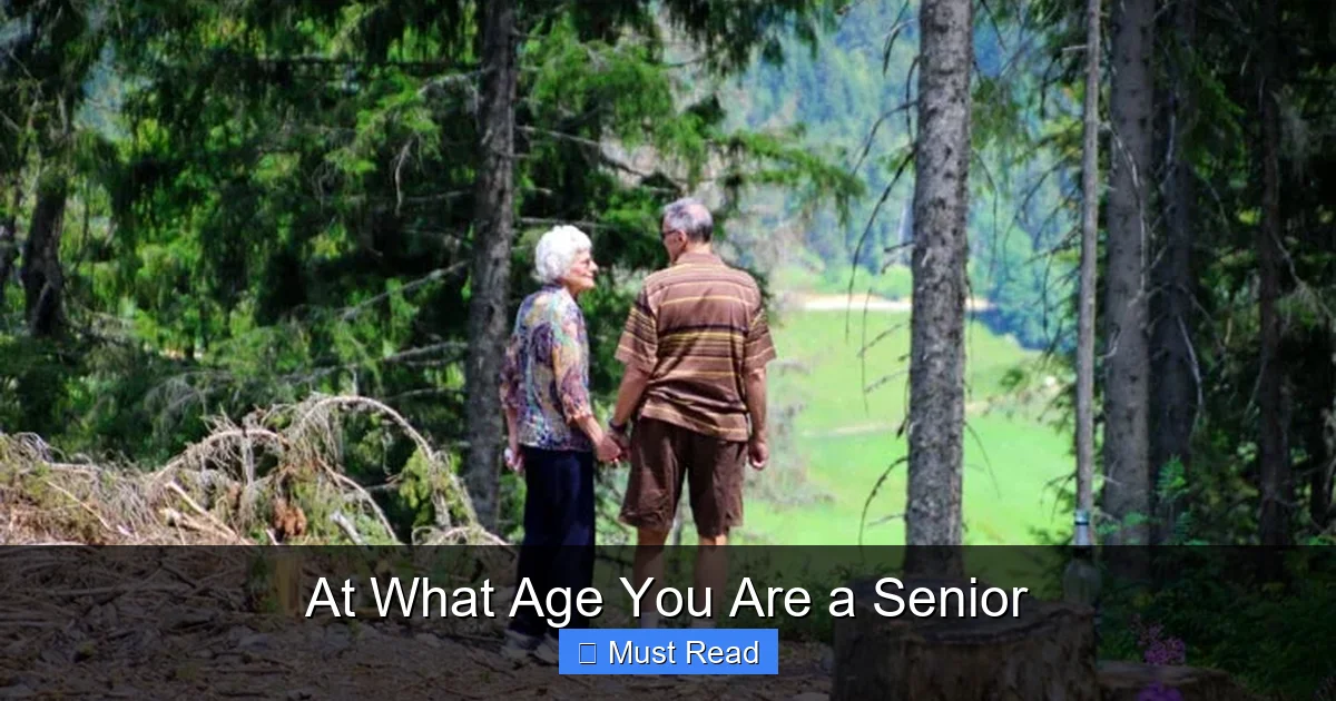 At What Age You Are a Senior