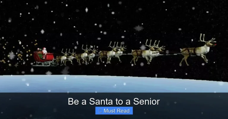Be a Santa to a Senior