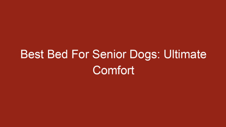 Best Bed For Senior Dogs: Ultimate Comfort
