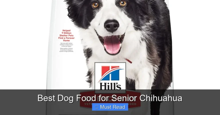Best Dog Food for Senior Chihuahua
