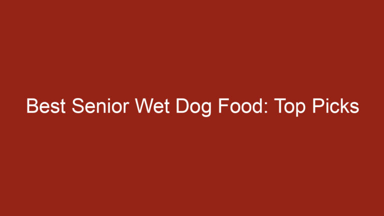 Best Senior Wet Dog Food: Top Picks