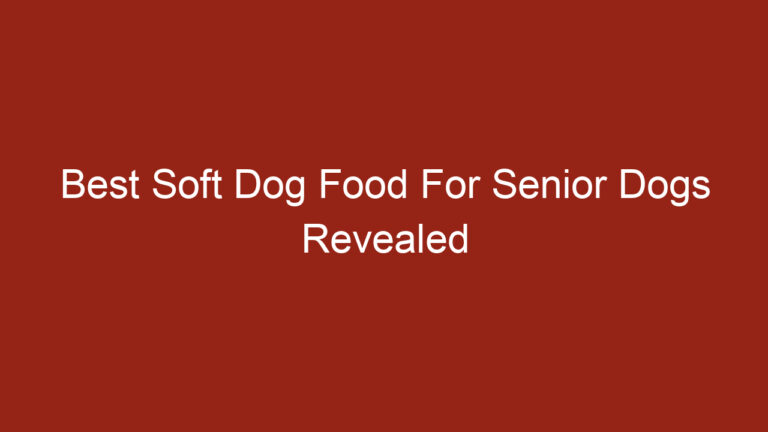 Best Soft Dog Food For Senior Dogs Revealed