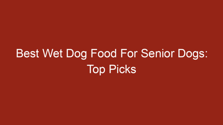 Best Wet Dog Food For Senior Dogs: Top Picks
