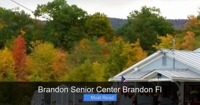 Brandon Senior Center Brandon Fl