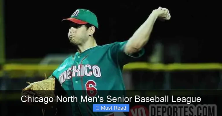 Chicago North Men's Senior Baseball League