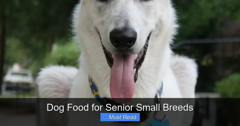 Dog Food for Senior Small Breeds