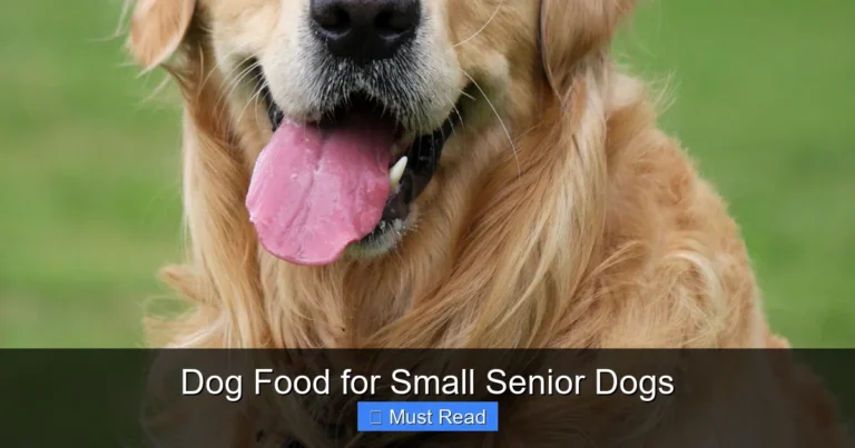 Dog Food for Small Senior Dogs