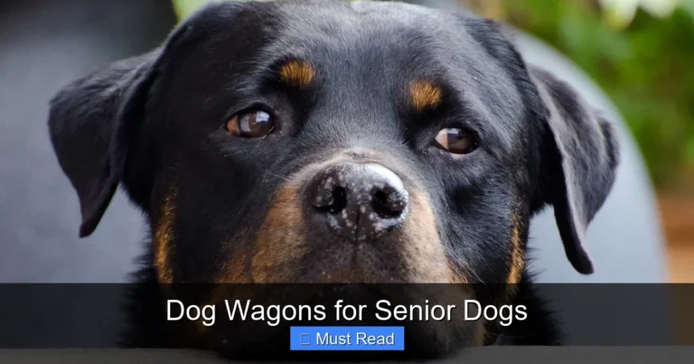 Dog Wagons for Senior Dogs