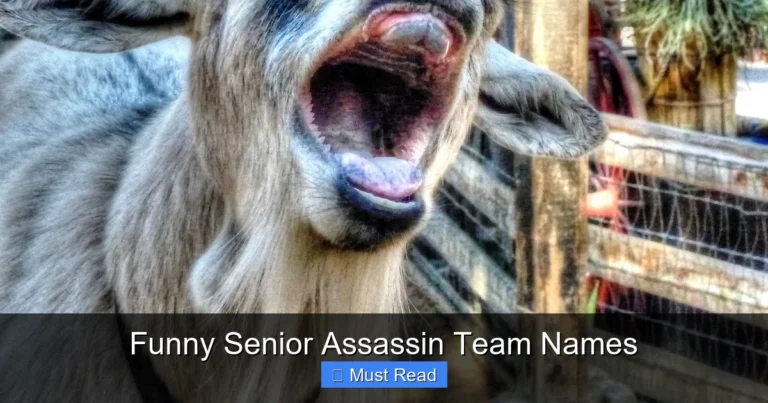 Funny Senior Assassin Team Names