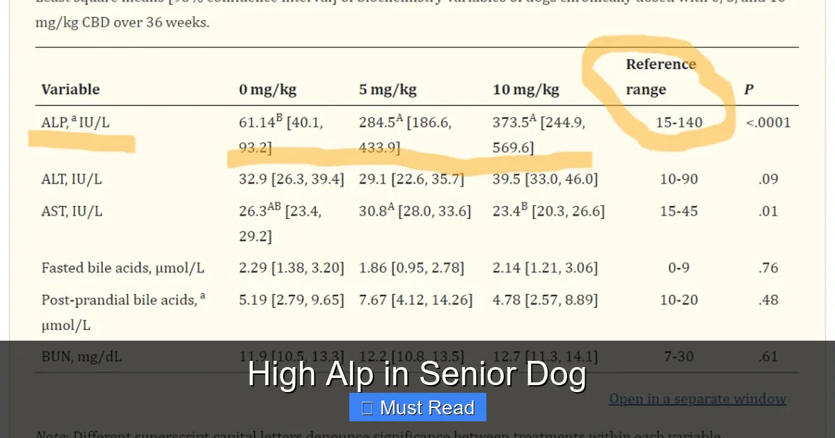High Alp in Senior Dog