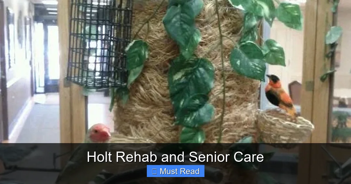 Holt Rehab and Senior Care