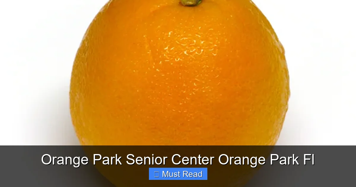Orange Park Senior Center Orange Park Fl