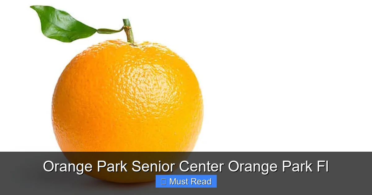 Orange Park Senior Center Orange Park Fl