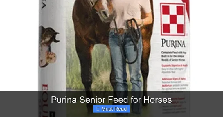 Purina Senior Feed for Horses