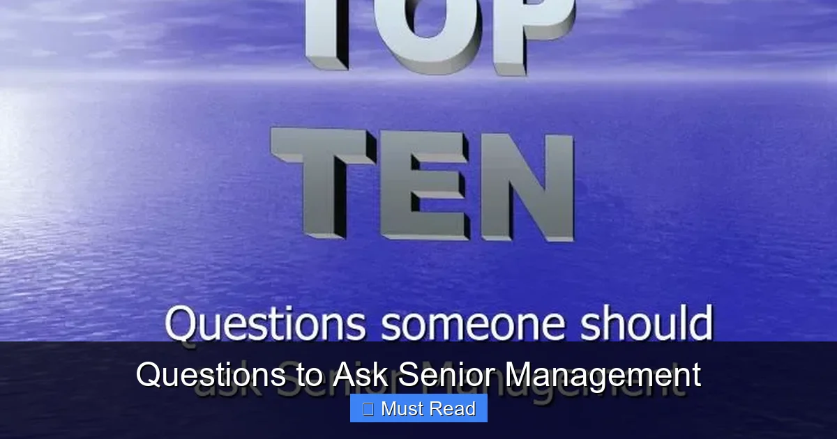 Questions to Ask Senior Management