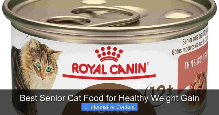 Best Senior Cat Food for Healthy Weight Gain