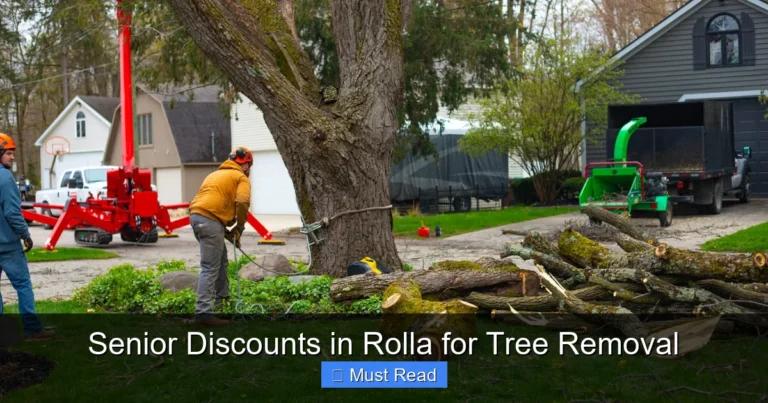 Senior Discounts in Rolla for Tree Removal