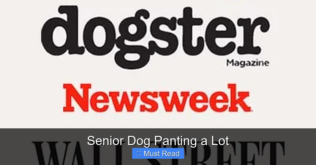 Senior Dog Panting a Lot