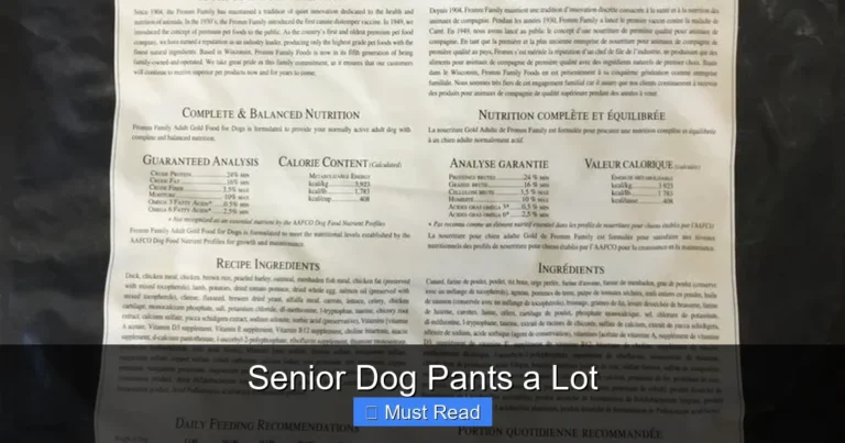 Senior Dog Pants a Lot