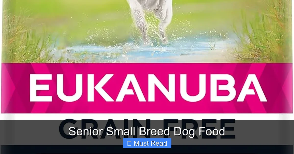 Senior Small Breed Dog Food