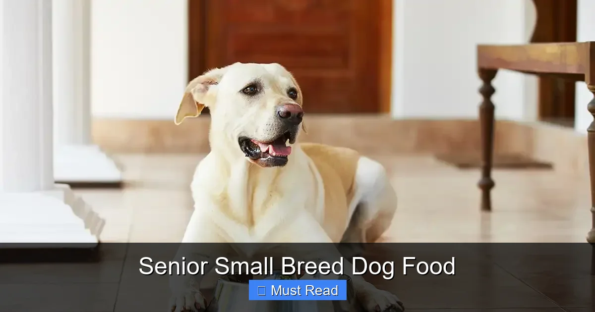 Senior Small Breed Dog Food