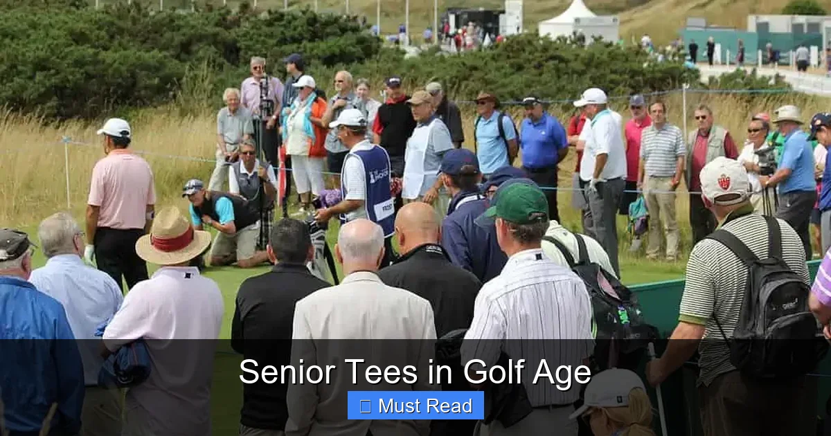 Senior Tees in Golf Age