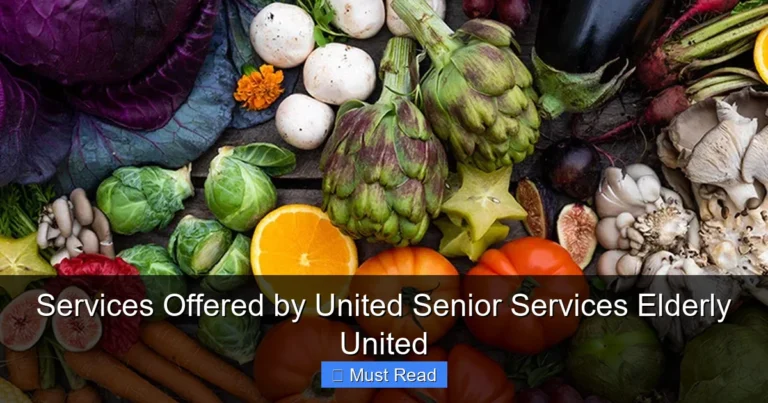 Services Offered by United Senior Services Elderly United