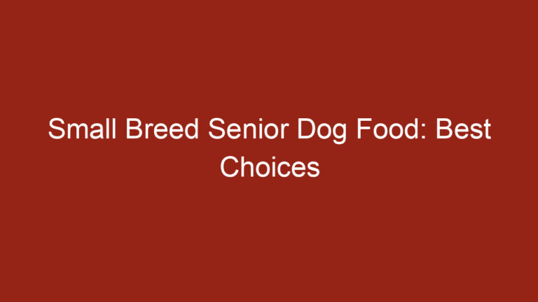 Small Breed Senior Dog Food: Best Choices
