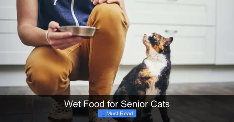 Wet Food for Senior Cats