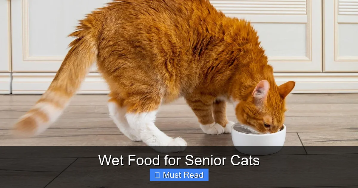 Wet Food for Senior Cats