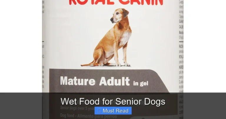 Wet Food for Senior Dogs