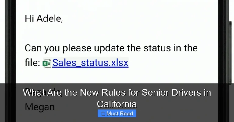 What Are the New Rules for Senior Drivers in California