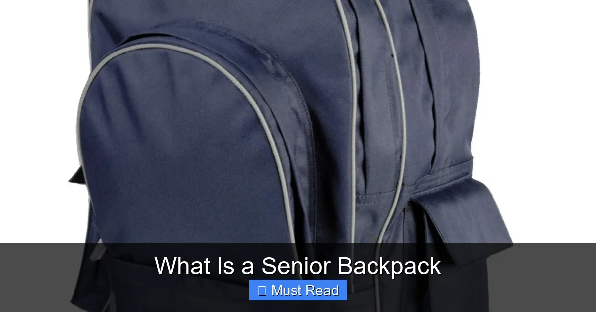 What Is a Senior Backpack
