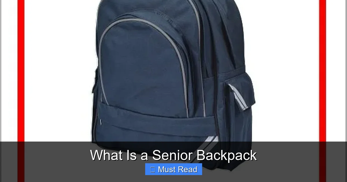 What Is a Senior Backpack