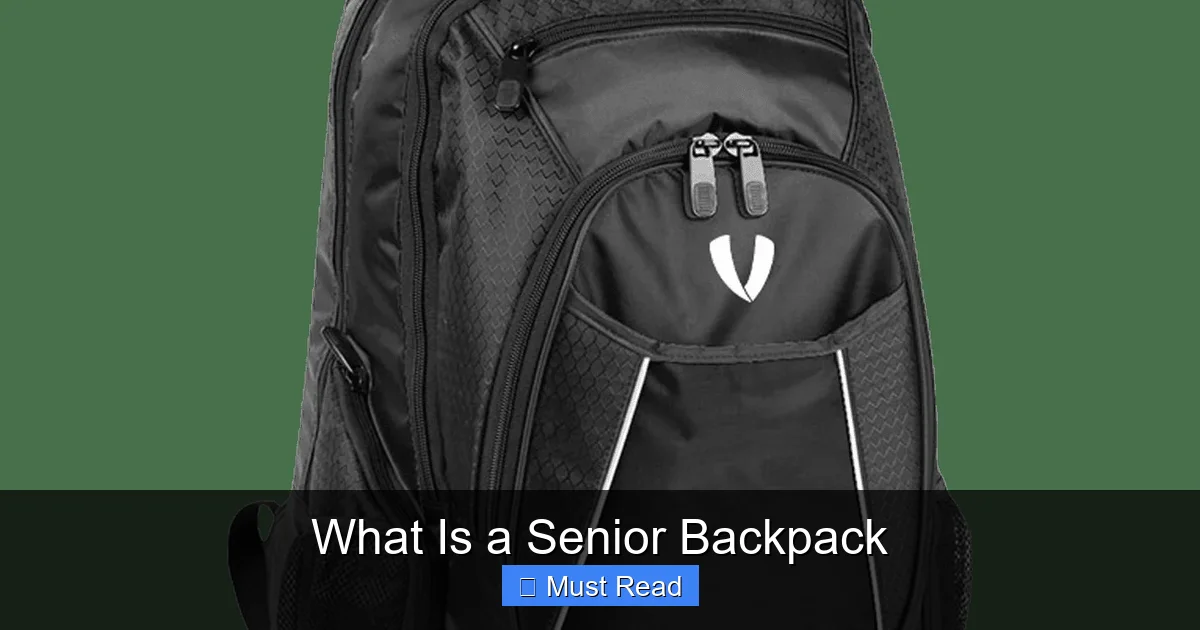 What Is a Senior Backpack