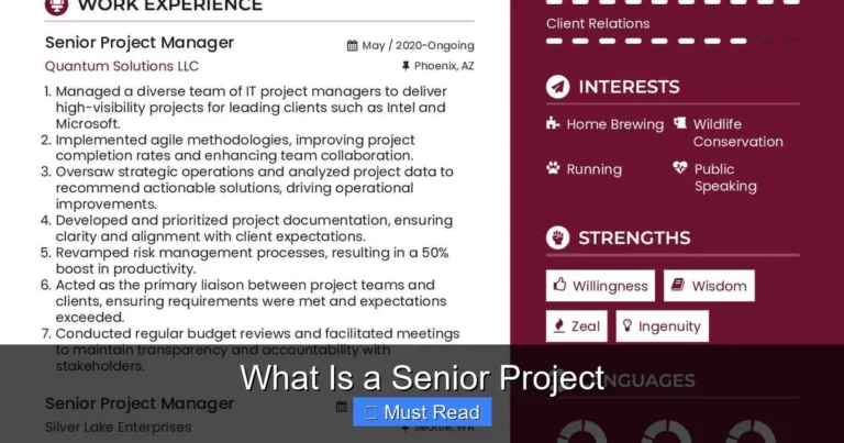 What Is a Senior Project