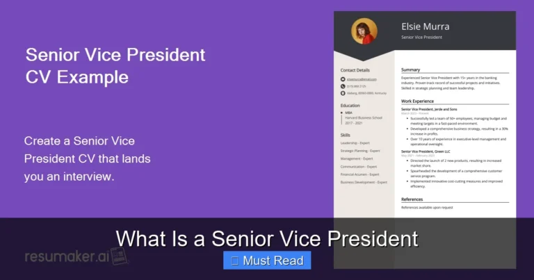 What Is a Senior Vice President