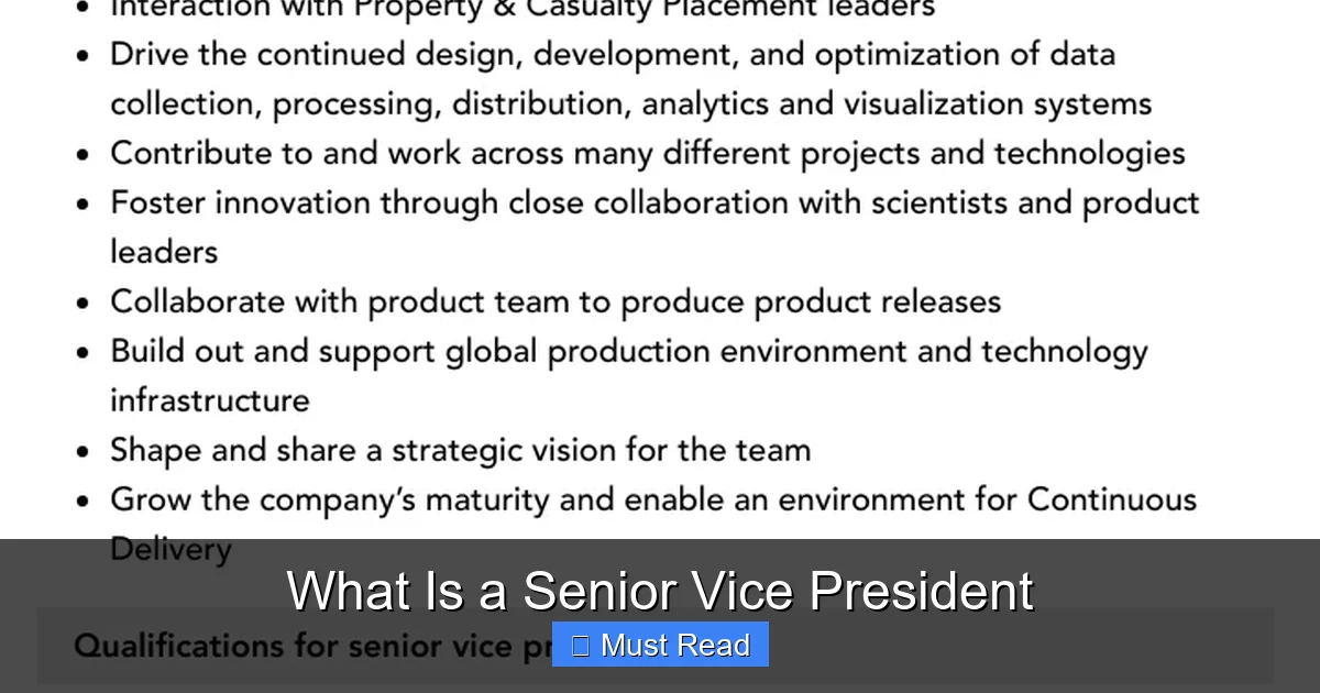 What Is a Senior Vice President