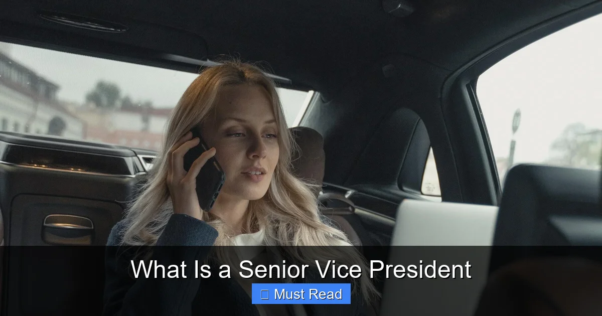 What Is a Senior Vice President