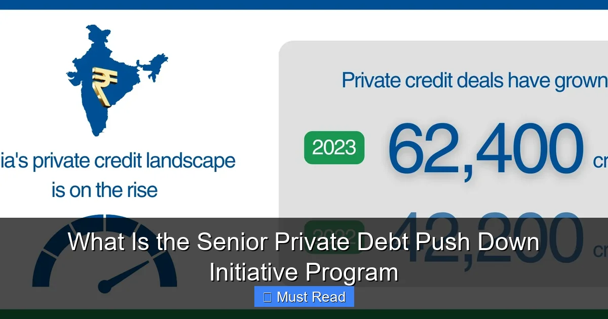 What Is the Senior Private Debt Push Down Initiative Program