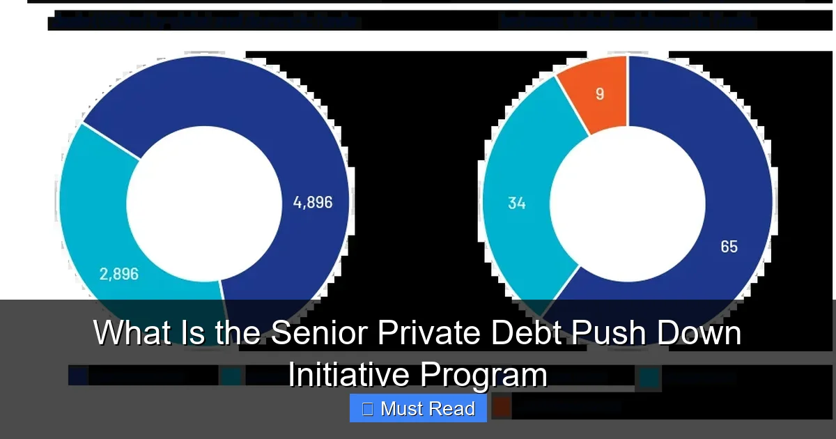 What Is the Senior Private Debt Push Down Initiative Program
