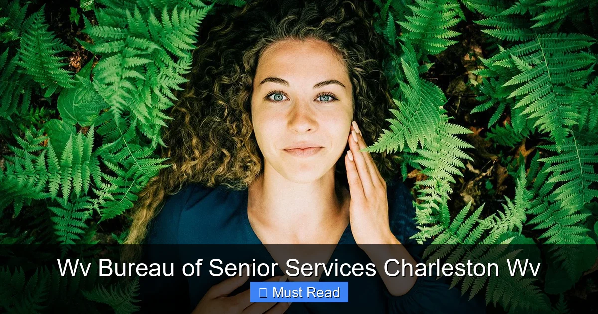 Wv Bureau of Senior Services Charleston Wv