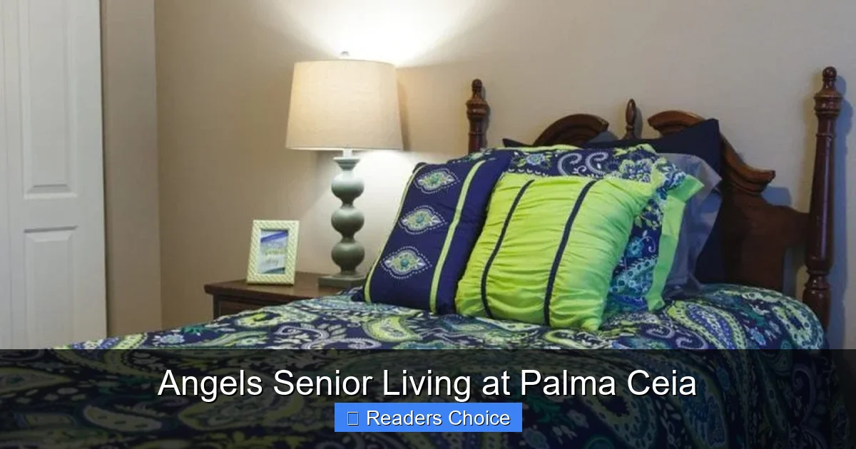 Angels Senior Living at Palma Ceia