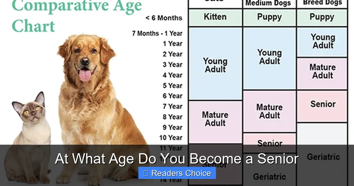 At What Age Do You Become a Senior