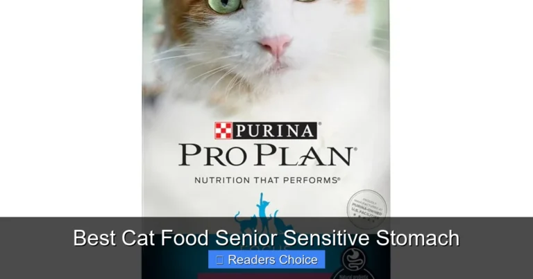 Best Cat Food Senior Sensitive Stomach