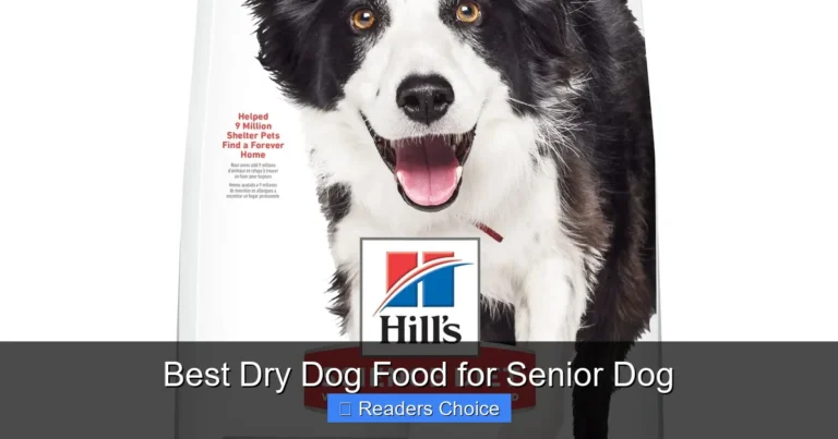 Best Dry Dog Food for Senior Dog