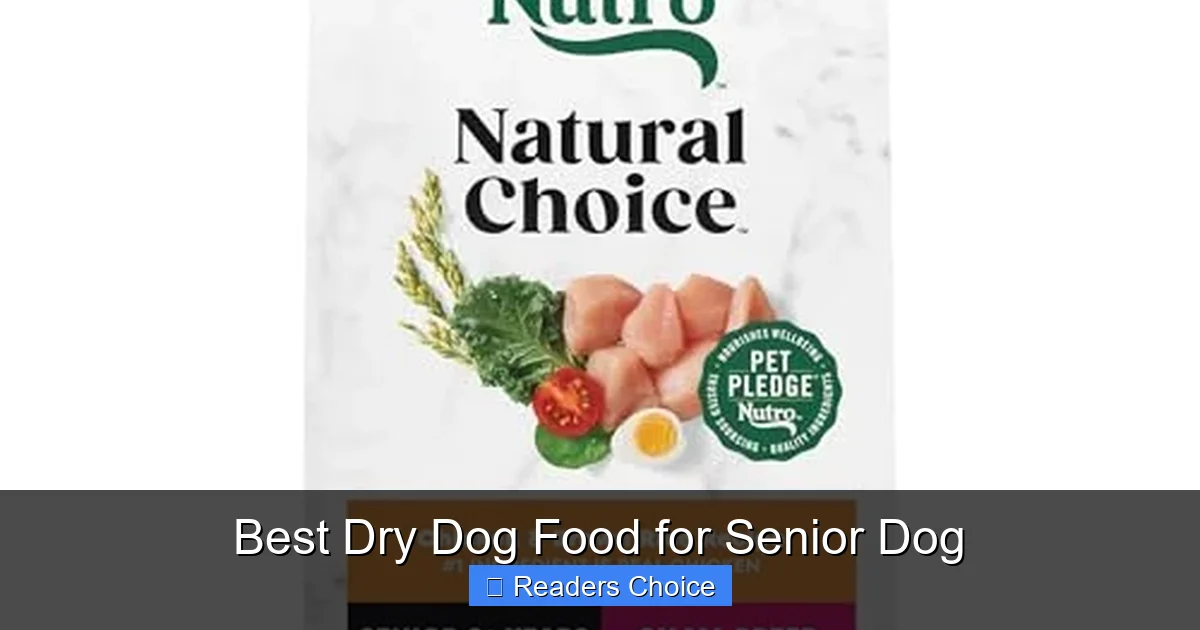 Best Dry Dog Food for Senior Dog