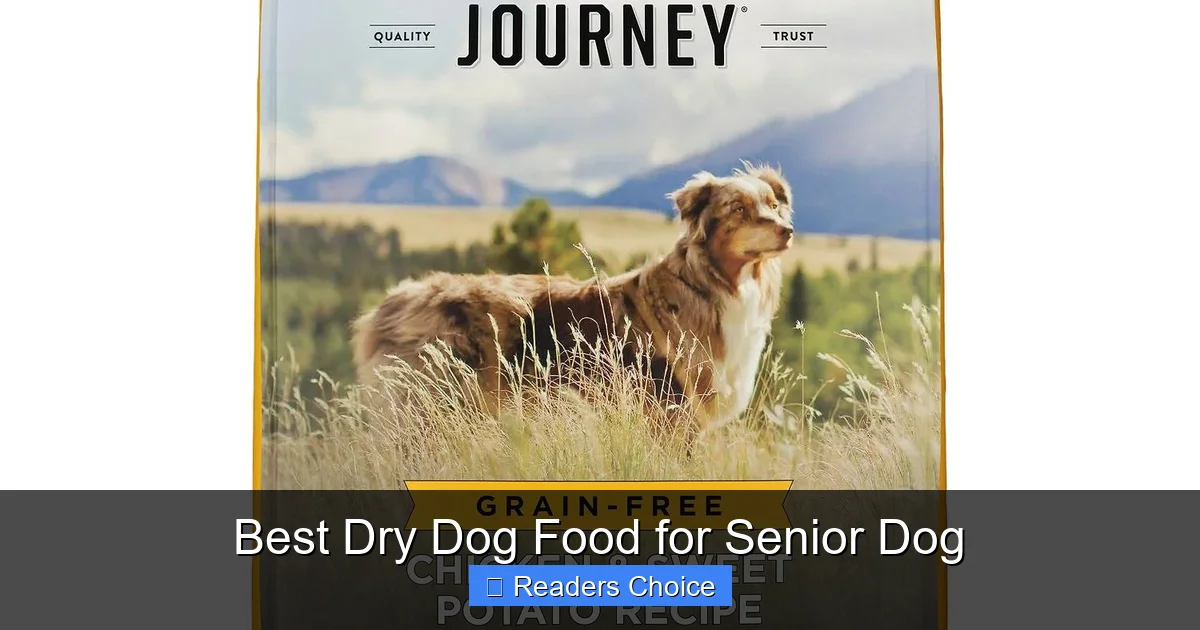 Best Dry Dog Food for Senior Dog