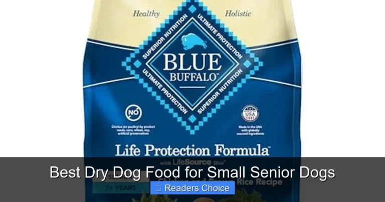 Best Dry Dog Food for Small Senior Dogs